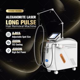 Machine d'épilation au Laser Alexandrite Nd Yag, équipement de réduction des cheveux pour rajeunissement de la peau, vidéo manuelle 755nm 1064nm