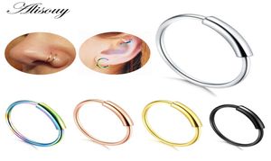 Alisouy 1pcs 22G en acier à charnière Clicker Piercing Piercing Ring de cerceau à lèvres Rogue d'oreille 6810 mm Bijoux de carrosserie Piercing Clip Gift3615497