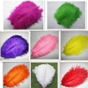 Alle-match 30-35 cm Mooie Struisvogelveren voor DIY Sieraden Craft Maken Bruiloft Decor Accessoires Bruiloft Decoratie