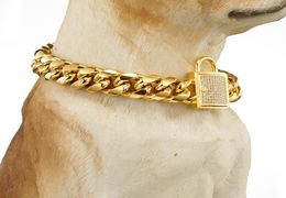 Allmatch Chain Gold Tone Curb Cuban Pet Link en acier inoxydable Cold Colliers de chien entier 2696237