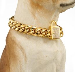 Catena AllMatch tono oro Curb Cuban Pet Link Acciaio inossidabile CZ Chiusura Collare per cani Collane per animali intere1803207