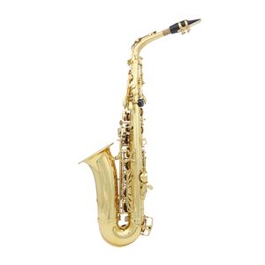 Saxophone Alto Saxophone Alto en mi bémol or argent touches coque blanche