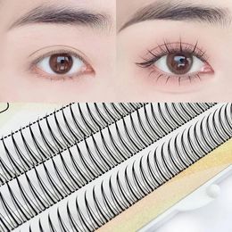 Am Shape Professional Makeup Individues Crys Cluster Spikes Eyellash Wispy Premade Russe Natural Fluffy Faux Cons de cils 240407