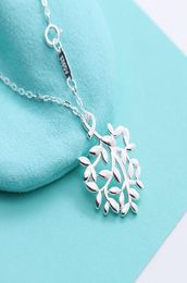 American Sterling Silver Branch Pendant Collier Femmes Péretti Chaîne de charme Chaîne de mode de mariage Colliers de feuilles creux 7482329