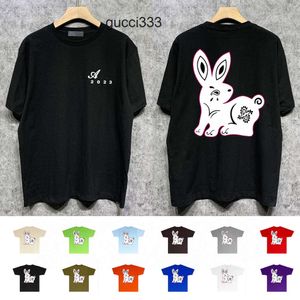 amirirlies lapin amari amirl amis AM amar miri personnalité 2023 hommes t-shirts créateur de mode t-shirts couleurs hommes été t-shirts à manches courtes 11 vêtements pour hommes S2X