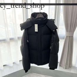 Amis Designer Puffer Jacket Top Qualité Hommes Doudounes Parka Femmes Noir Puffer Veste À Capuche Ample Ajustement Casual Extérieur Hiver Chaud Épaissi Zipper Manteau 34