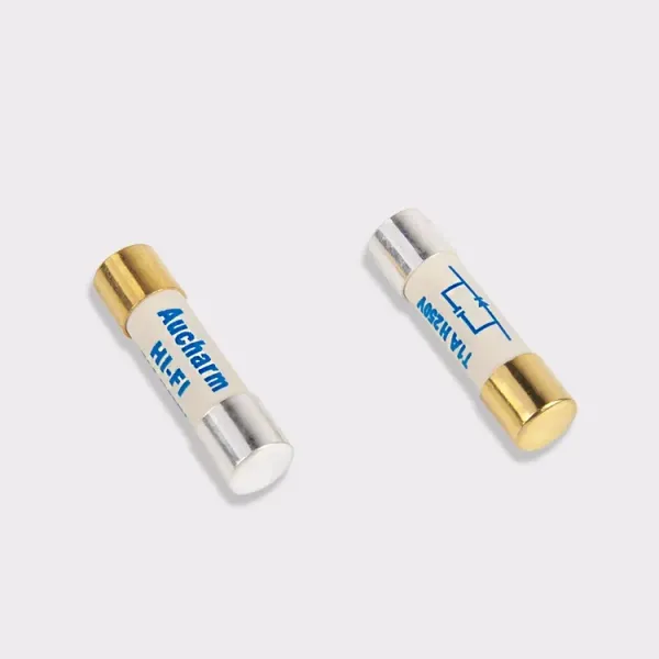 Amplificateur B731 SlowMelting Silver Silver Goldplated Fuse Hifi Fiver Fuse CD Amplificateur AMP Sound 5x20mm