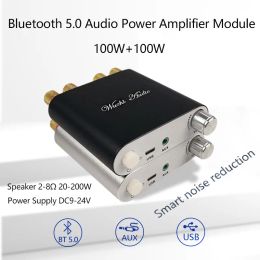 Amplificateur Bluetooth 5.0 Wireles Wireles Stéréo Audio Power Amplifier Amplificateur TPA3116D2 100W + 100W Amplificador Home Theatre Aux USB