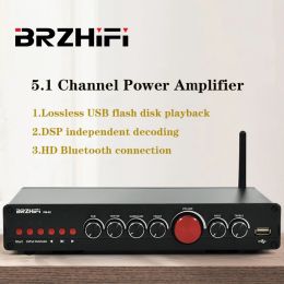 Amplificateur Brzhifi Audio TPA3116 Amplificateur haute puissance 5.1 Channel Home Theatre LDAC Bluetooth 5.0 Subwoofer Power Amplificateur Sound