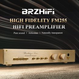 Versterker Brzhifi Clone Zwitserland FM255 Hiend Audio Power Voorversterker Classic Gold Hifi Audiophile Stereo Amplifier Home Preamp