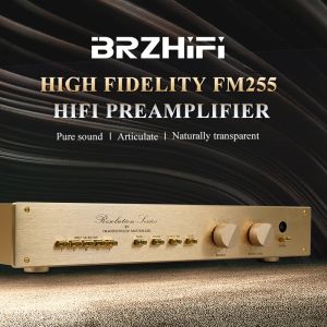 Amplificador BRZHIFI Clone Suiza FM255 Audio Audio Power Preamplificador Classic Gold Hifi Audiophile Estereo Amplificador Preamper