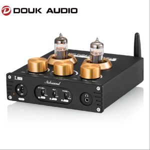 Amplificateur Douk Audio Hifi Vas Valve Valve Préampe Mini Bluetooth 5.0 Récepteur USB DAC Amplificateur de bureau AMP APTXHD