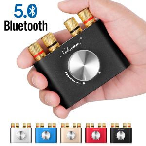 Amplificateur Douk Audio Mini Bluetooth 5.0 TPA3116 AMPLIFICATEUR PUILIT