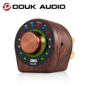 Amplificateur Douk Audio Mini Class D 2.0 Channel Digital Amplificateur Bluetooth 5.0 Récepteur HIFI STÉRÉO AMP