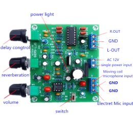 Amplificateur Etk3699 Digital Kara Ok surround Reverb Delay Microphone Amplificateur Préampe Board