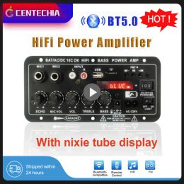 Amplificateur HIFI Digital Board Subwoofer Bluetooth Dual Microphone Karaoke Stéréo Amplificateur AMPLIFICATE