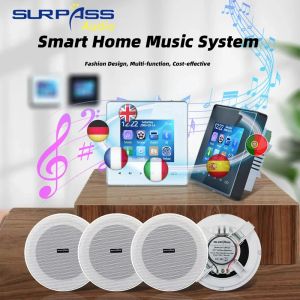 Versterker Smart Home Audio 4 inch Bluetooth-compatibele muurversterker Achtergrondmuziekgeluid AUX FM-radio Binnen-in-plafondluidsprekerset