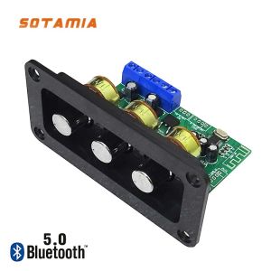 Versterker Sotamia Bluetooth 5.0 Amplifier Audiobord 2.0 Stereo Sound Amplificador 2x20W AUX POWER -versterker met U Disk Remote Control