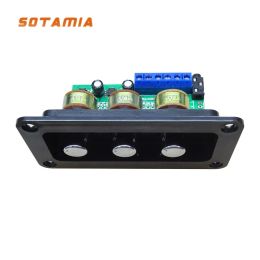 Amplificador Sotamia Potencia digital placa de amplificador estereo Amp NS4110B Amplificador de sonido 2x20W Hifi Amplificador Tonel de basura con panel