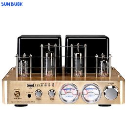 Amplificateur Sunbuck Fibre Coaxial 5.0 Bluetooth Tube Amplificateur 6f1 Sortie casque Hifi sans perte 2.1 Amplificateur de tube à vide à vide à haute puissance 80W