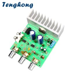 Versterker Tenghong TDA7265 Stereo Sound Power Audio Amplifiers Board 40W*2 2.0 Channel Dual AC1215V SPREKER HIFI AMPLIFICADOR