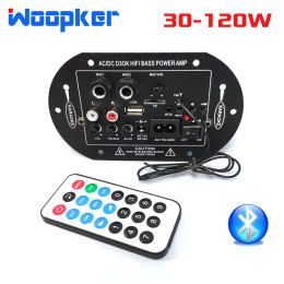 Amplificateur Woopker Amplificateur Board D3 Mono Max 120W avec Bluetooth FM Radio 11V / 220V / 12V / 24V AMP AMP AMP