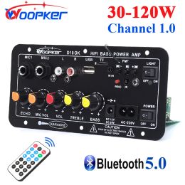 Versterker Woopker D10 Bluetooth Audio -versterker Bord 120W Subwoofer Dual Microfoon AMP -module voor 4 OHM 812 in luidspreker 12/24V 100240V