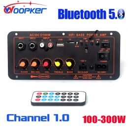 Amplificateur Woopker D100 Bluetooth Audio Amplifier Board Max 300W Subwoofer Double Microphone Amp MODULE 12V 24V 220V MEDIE PLAYER