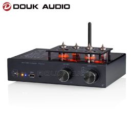 Versterkers Douk Audio Hifi Bluetooth 5.0 VacuumTube voorversterker MM/MC Phono Stage -versterker FM Radio USB Audio Player Klasse A -versterker