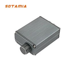 Amplificateurs Sotamia 100W TPA3116D2 Power Mono Amplificer Board HiFi Subwoofer Amplificateur Board Digital Mini amplim DIY Smart Home Amplificador