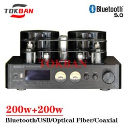 Versterkers TOKBAN AV889 200W*2 6U1 6A2 Vacuümbuisversterker High Power Bluetooth 5.0 VU Meter Support Fiber Coaxiale Input Audio -versterker