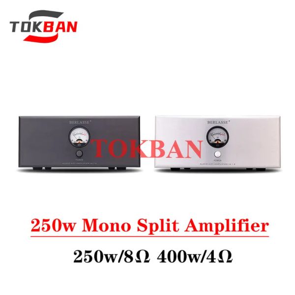 Amplificateurs Tokban TS12 250W Mono Split Power Amplificateur High Power Low Distortion Support RCA XLR Entrée VU METER HIFI Amplificateur Audio
