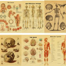 Anatomie en fysiologie De lichaamsstructuur poster skelet retro kraftpapier sticker vintage kamer decor kunst muurschildering