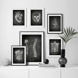 Anatomy Bone Organs Blackboard Affiche rétro Home Studers en médecine décoratif Medical Art Wall Painting Home Decorative Painting