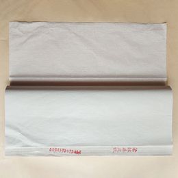 Caligrafía de papel de morera antigua, papel Xuan especial, pintura china pequeña a mano alzada, obras de paisaje, imitación de papel