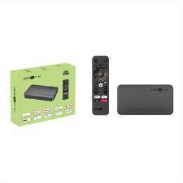 Android 10 Smart ATV TV Box Lemon TV 4K Allwinner H313 Media Player Control Vo Remote 5G WiFi 2GB 8 Go Set-top HD