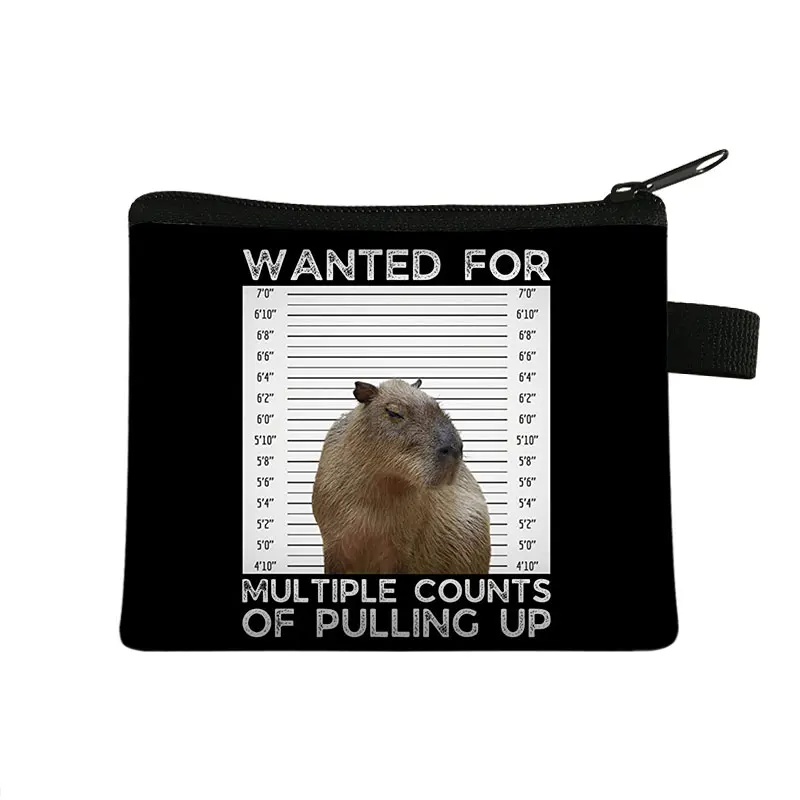Animal Capybara Imprimir bolsa de moedas Mulheres carteiras de cartão de crédito Chave do fone de ouvido do porta