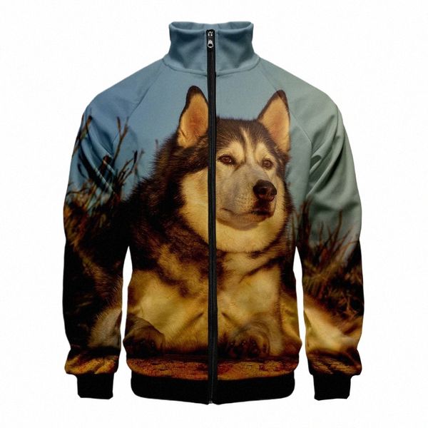 Animal mignon chien Husky 3D col montant à capuche hommes femmes fermeture éclair vestes à capuche Lg manches 3D Sweatshirts hauts Dropship E6sw #