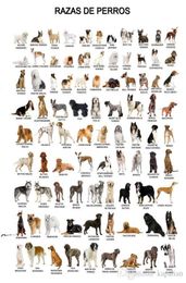 Póster de animales, póster de perro, papel tapiz para decoración del hogar, carteles artísticos impresos, Poppaper 16 24 36 47 pulgadas 7001896