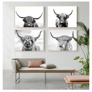 Dieren canvas schilderen posters en prints cuadros muur kunst foto voor woonkamer huisdecor zwart en wit yak highland koe woo