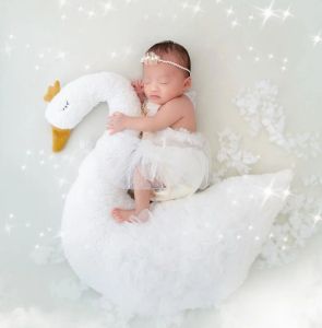 Animaux nouveau-né la photographie bébé accessoires poupée animale en peluche posant un oreiller photo coussin photo studio photographie tapis