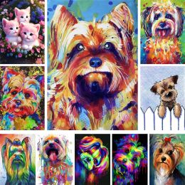 Animaux Pething Painting by Numbers Set Oil Paints 50 * 70 Picture by Numbers Photo Photo Wall Paintings For Kids Wholesale Artisan