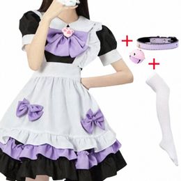 Anime Maid Lolita Dr Cosplay Costume Violet Rose Femmes Loli Dr Cat Claw Maid Bow Bell Collar et Bas Blancs j1cN #