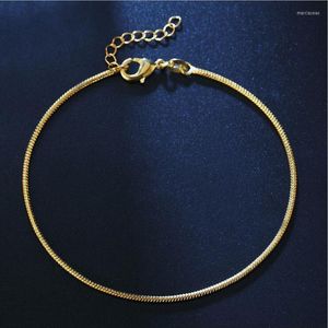 Enklets kleine dunne gouden kleur gedraaide slangenketen enkelband voor vrouwen meisjes vriend voet sieraden been bracelet op blote voeten tobillera vervagen nooit marc2