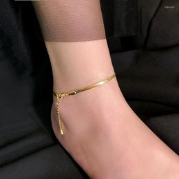 Tobilleras de moda Simple Color dorado Acero inoxidable serpiente cadena mujer moda verano tobillo pulsera playa pie joyería