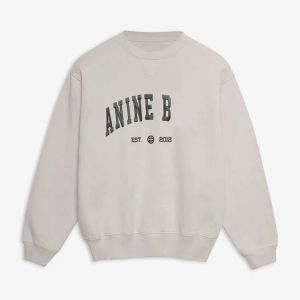 Annes Bing Dames Desginer Mode Klassieke Katoenen Hoodies Sweatshirt Nieuwe Brief Geborduurde Losse Fleece Trui Ronde Hals Hoodies AB Hoodie