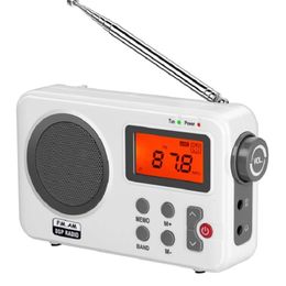 Antenne Digital Radio AM FM Portable avec l'écran LCD Affichage d'alarme SER pour la maison OUTDOOR 240506