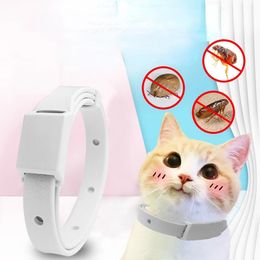 Collar de garrapata antiolla para gato Pequeño perro antiparasitario 8 meses Collar de cachorros ajustables accesorios para mascotas de collar