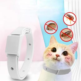 Collier de tick anti-flea pour chat petit chien antiparasite 8 mois protection chiot ajusté chaton de chaton accessoires pour animaux de compagnie