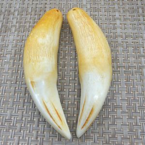 Antique Collection Natural Bone Powder Synthetic Retro Bear-tooth-tiger-tooth Necklace Pendant